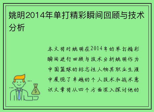 姚明2014年单打精彩瞬间回顾与技术分析